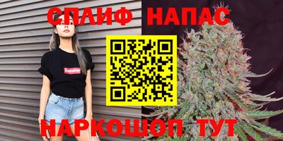 стаф Гусев