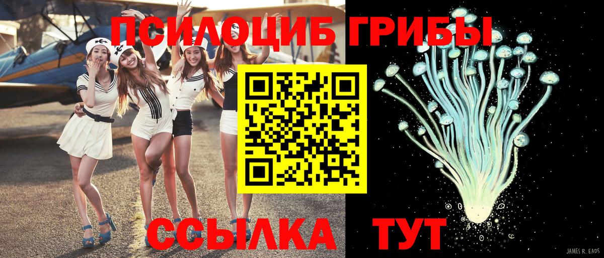 Псилоцибиновые грибы GOLDEN TEACHER  Вход с VPN  Мичуринск 